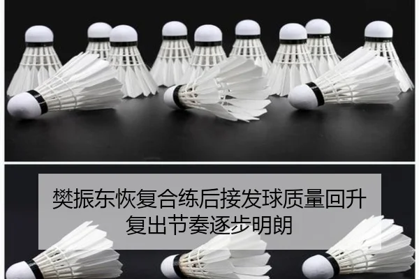 樊振东恢复合练后接发球质量回升 复出节奏逐步明朗