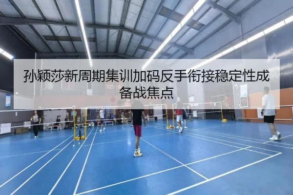 孙颖莎新周期集训加码反手衔接稳定性成备战焦点