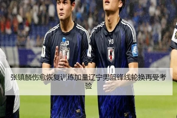 张镇麟伤愈恢复训练加量辽宁男篮锋线轮换再受考验